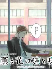 荒野搭子 户外真人秀 手机在线观看
